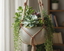 plante grasse suspension macramé