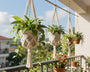 suspension macramé balcon plante