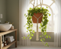 suspension macramé plante salle de bain