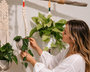 Plantes suspendues dans des pots macramé en coton naturel