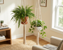 Suspension plante macramé : quelle suspension pour quel pot et quelle pièce ?