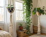 macramé plante options intérieur