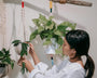 Top 5 des plantes à suspendre dans un pot macramé