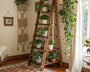 suspension macramé plantes
