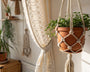 suspension plante macramé formats poids