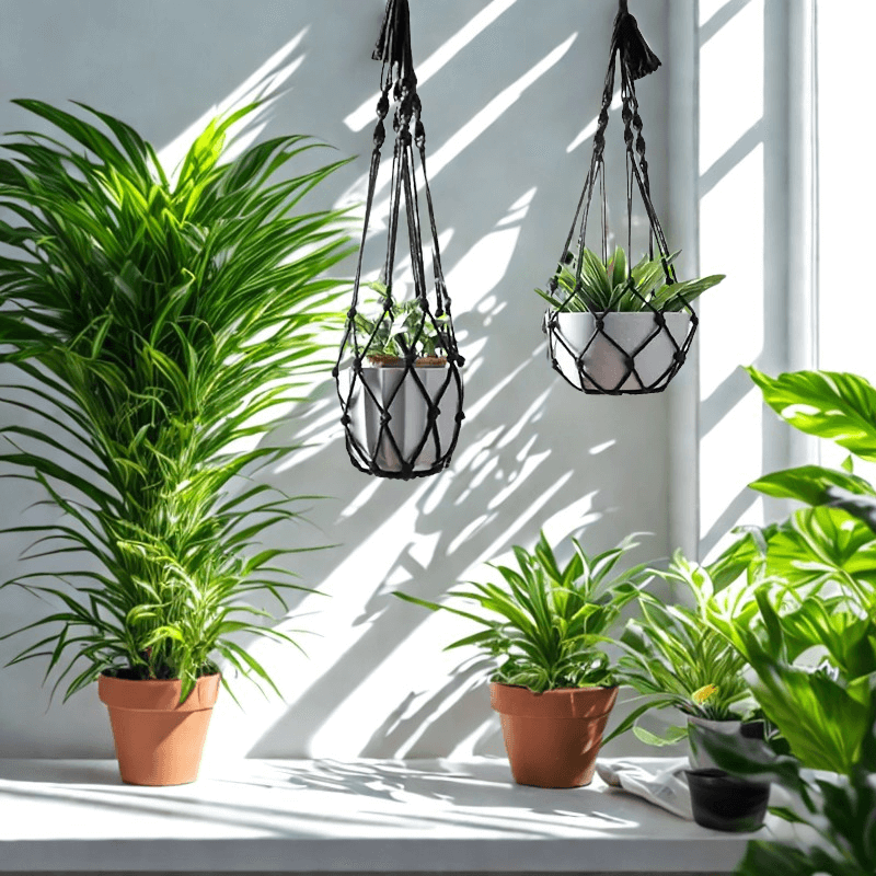 Suspension plante macramé duo — coton 50 cm Décorations macramé