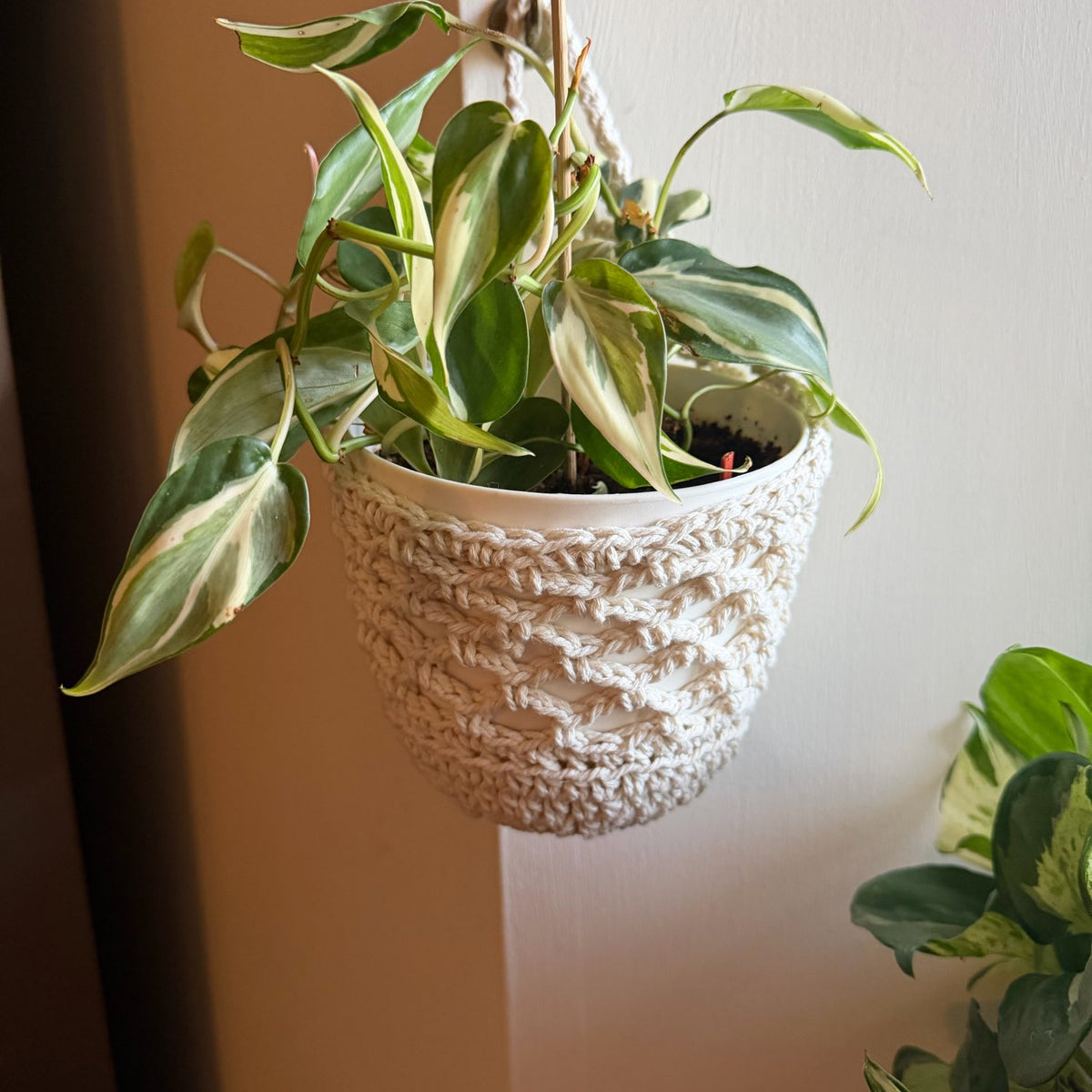 Cache pot en cordage de coton écru autour d'un pot blanc avec une plante panachée, suspendu à un crochet contre un mur