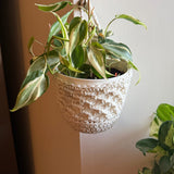 Cache pot en cordage de coton écru autour d'un pot blanc avec une plante panachée, suspendu à un crochet contre un mur