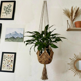 Suspension plante macramé jute naturel style bohème Décorations macramé