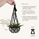 Suspension plante macramé duo — coton 50 cm Décorations macramé