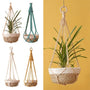 Suspension plante macramé en corde de coton, 4 coloris | Verdane Décorations macramé