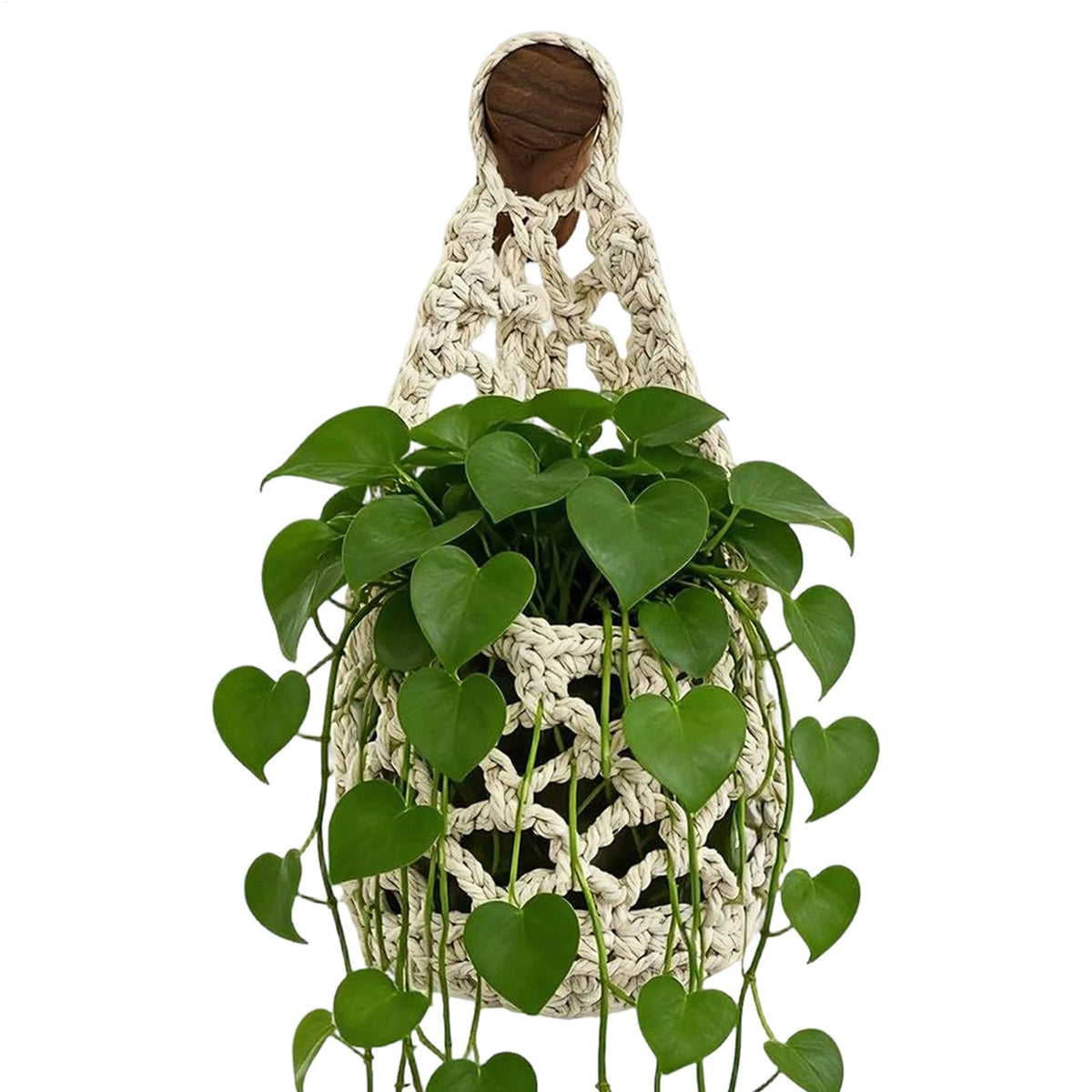 Plan rapproché d'un cache pot mural en filet de coton blanc cassé avec une plante à feuilles en cœur retombantes
