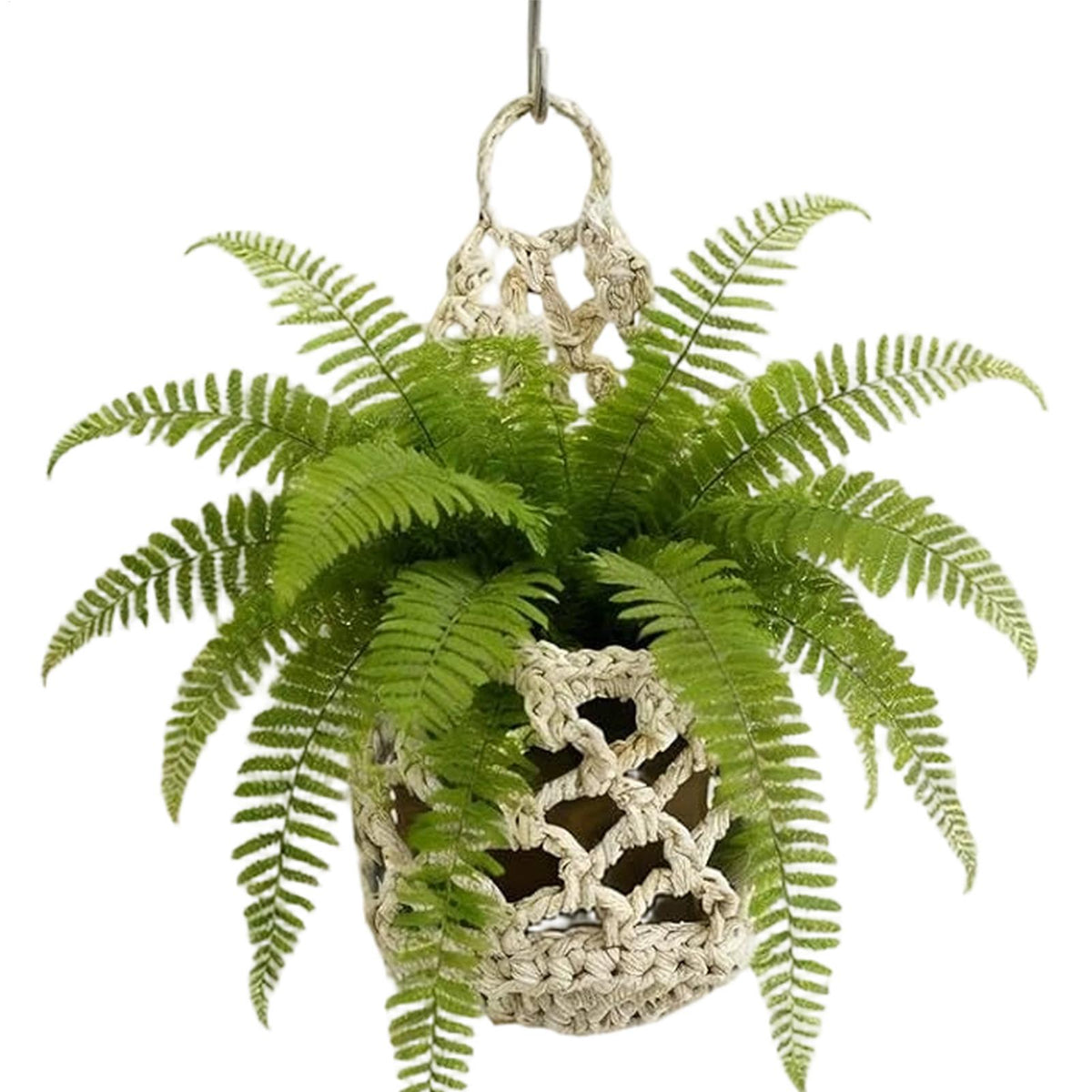Cache pot en filet de coton blanc cassé suspendu à un crochet, avec une fougère aux frondes étalées sur fond blanc