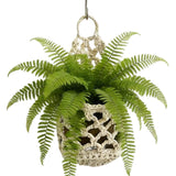 Cache pot en filet de coton blanc cassé suspendu à un crochet, avec une fougère aux frondes étalées sur fond blanc