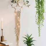 Attrape-rêve étoile macramé avec guirlande et plantes retombantes