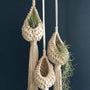 Porte plante macramé - trois pièces en forme de goutte avec gland, plantes aériennes sur un mur bleu nuit