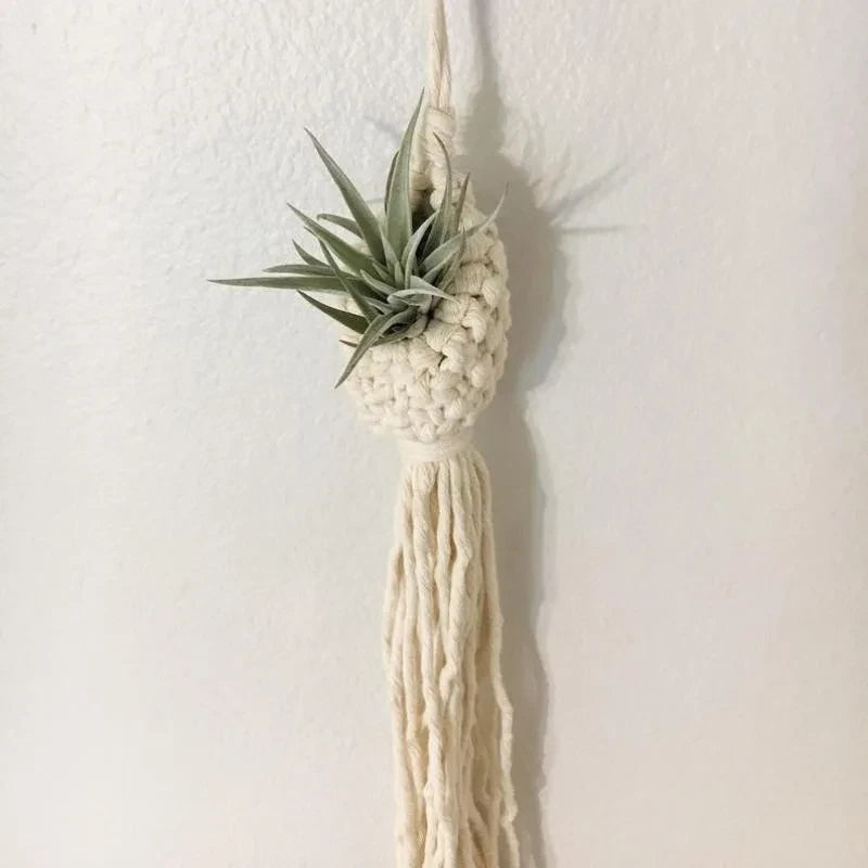 Porte plante macramé - plante aérienne dans la goutte, gland de cordes sur un mur blanc