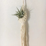 Porte plante macramé - plante aérienne dans la goutte, gland de cordes sur un mur blanc