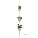  180 cm, trois pots
