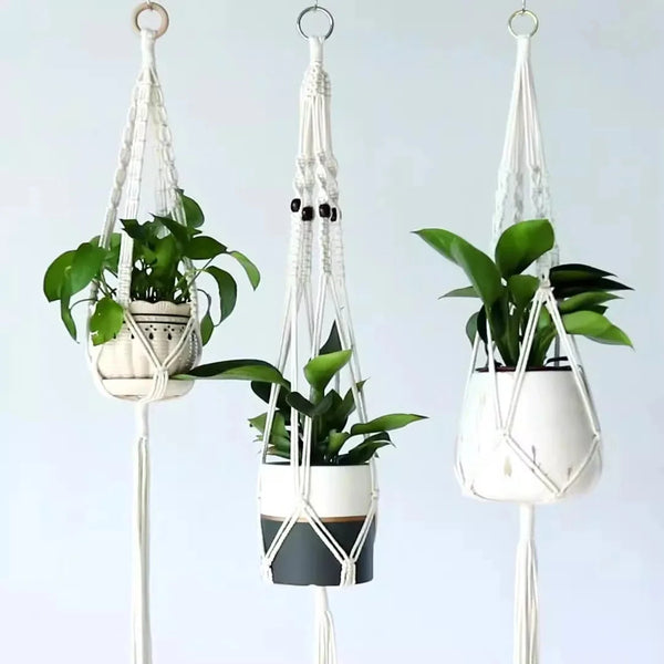 Porte-plante suspendu macramé - trois modèles avec plantes devant un mur gris bleu