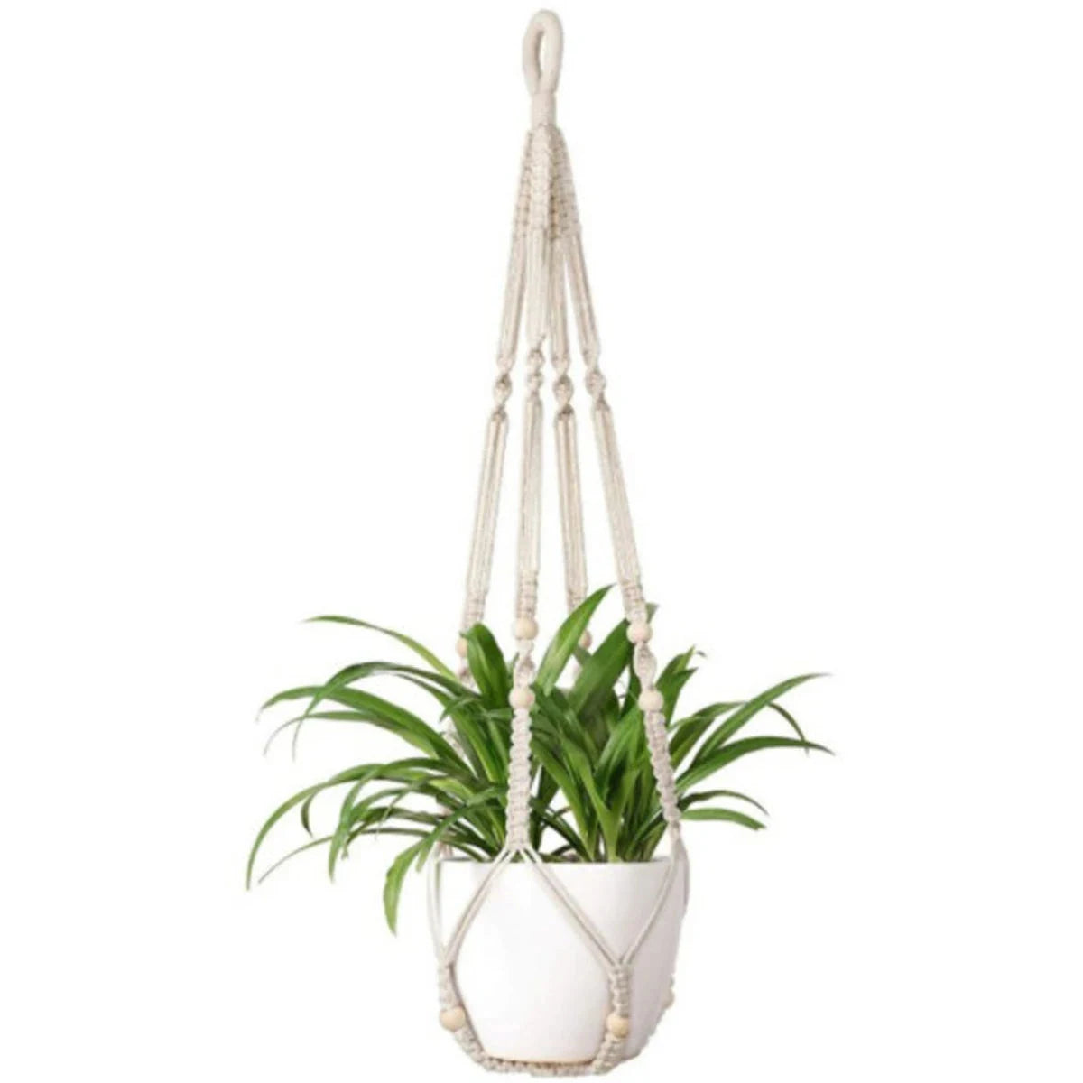 Support pot de fleurs suspendu macramé - coloris écru avec pot blanc et plante verte sur fond blanc