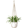 Support pot de fleurs suspendu macramé - coloris écru avec pot blanc et plante verte sur fond blanc