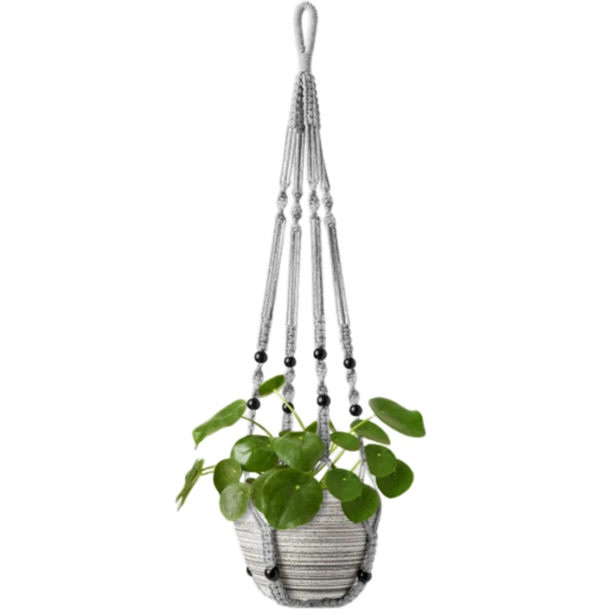 Support pot de fleurs suspendu macramé - coloris gris avec pot rayé et plante à feuilles rondes sur fond blanc