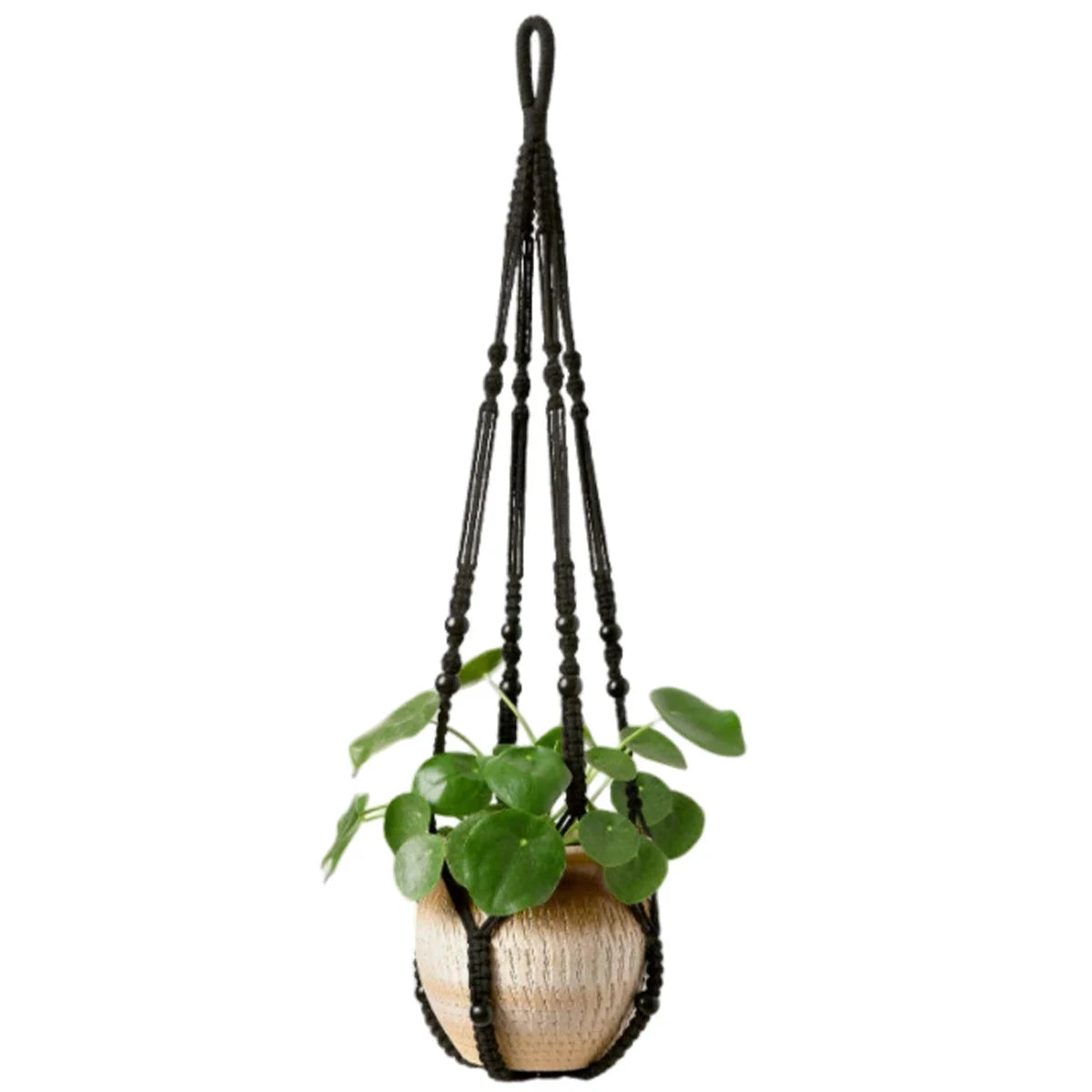 Support pot de fleurs suspendu macramé - coloris noir avec pot et plante à feuilles rondes sur fond blanc