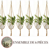 Lot de 6 suspensions plante Corda en chanvre, pack déco bohème