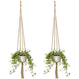 Plante suspendue dans filet Corda, macramé chanvre bohème