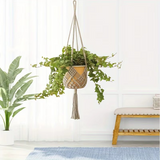 Gros plan nœuds coton tressé suspension macramé Liana