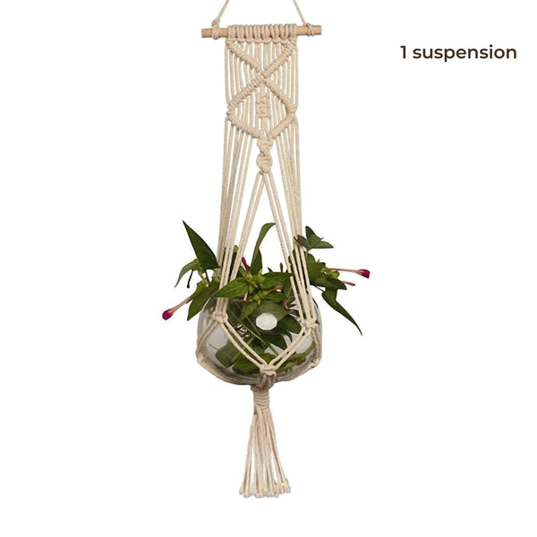 Suspension pot de fleurs macramé - une suspension à bâton de bois sur fond blanc