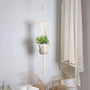 Suspension pot de fleurs macramé - modèle à bâton de bois accroché dans un salon près d'un rideau voilage