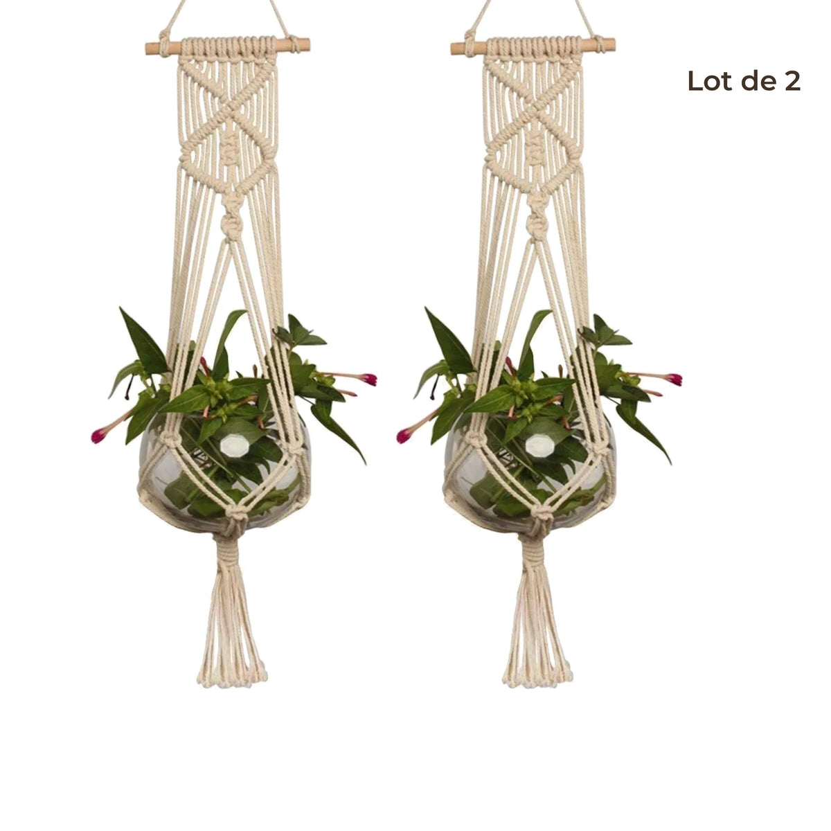 Suspension pot de fleurs macramé - lot de 2 suspensions à bâton de bois sur fond blanc