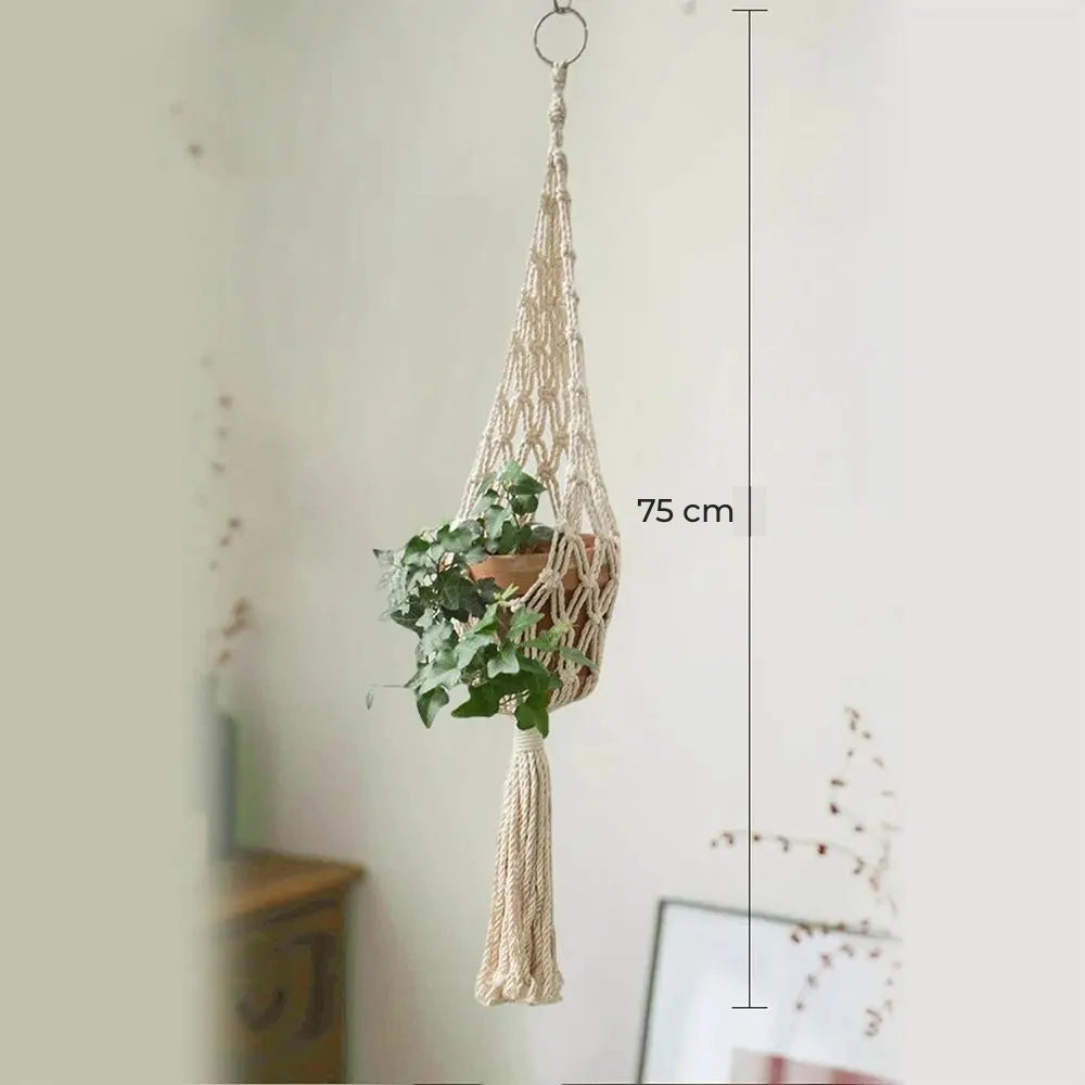 Suspension pour plantes macramé - modèle filet à gland de 75 cm avec pot en terre cuite et lierre