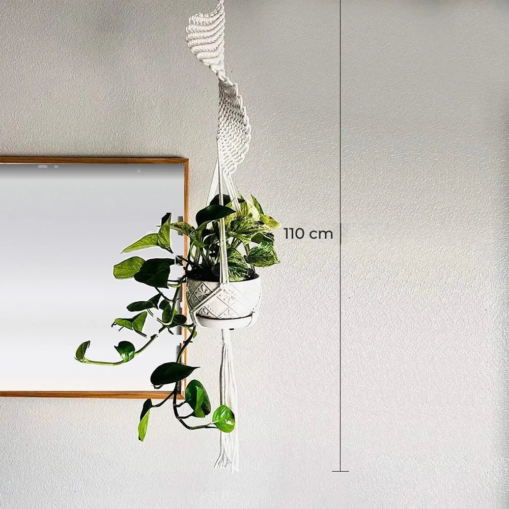 Suspension pour plantes macramé - modèle spirale de 110 cm avec pot blanc et pothos