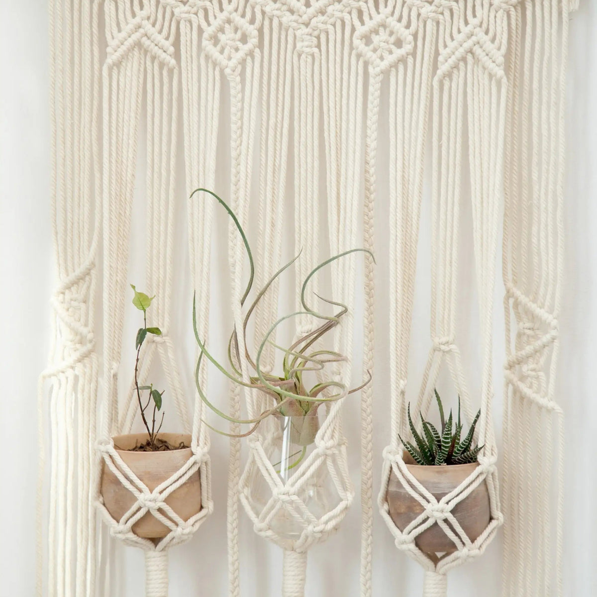 Tapisserie murale macramé suspensions plantes — chambre bohème