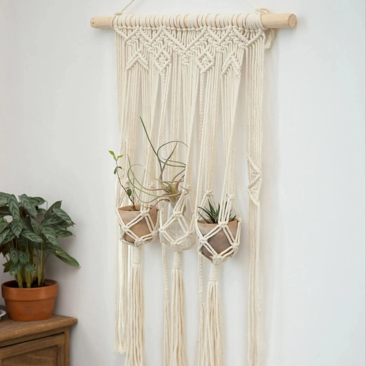 Tapisserie murale macramé suspensions plantes — dimensions et détail