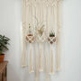 Tapisserie murale macramé 3 suspensions plantes — salon bohème